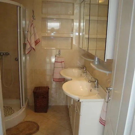 Rosa * تْسْغيكفانِتْسا