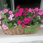 Rosa * קריקווניצה